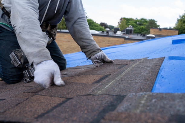 Best Gutter Installation and Roofing  in Marysville, OH
